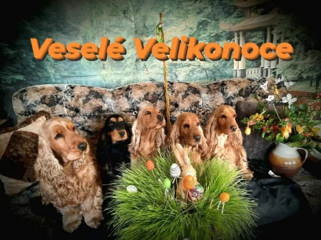 Krásné Velikonoce! Jaro je tu!