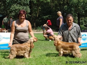 Cedra Deermount