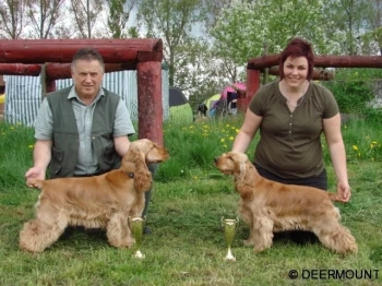 Cedra Deermount